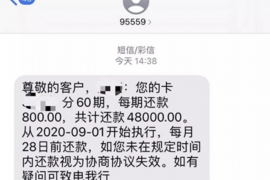 扬州为什么选择专业追讨公司来处理您的债务纠纷？